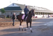 2024 Kentucky Oaks winner Thorpedo Anna retires