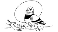 Pigeon spirituality