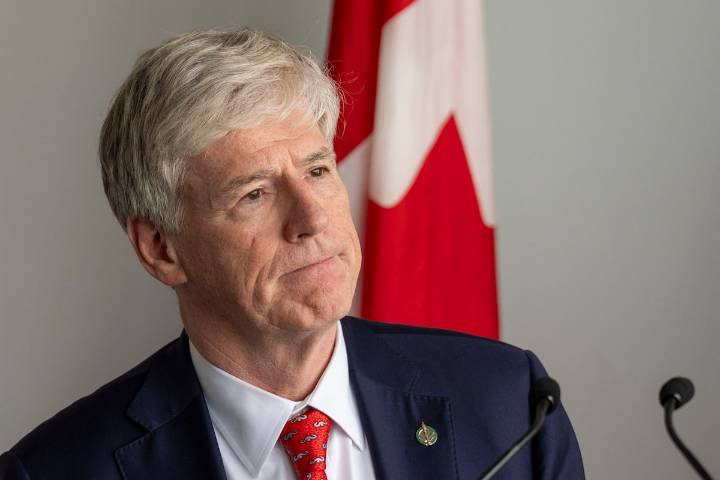 G7 critical minerals pact will take aim at China market manipulation, minister says