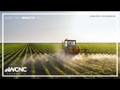 American soybean farmers losing a key customer as trade war continues