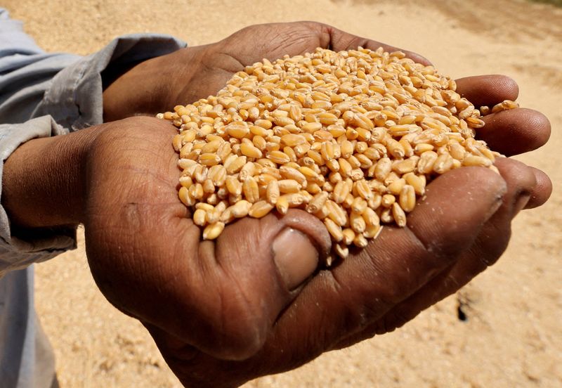 World food prices dip as falls in sugar and dairy offset new high for meat