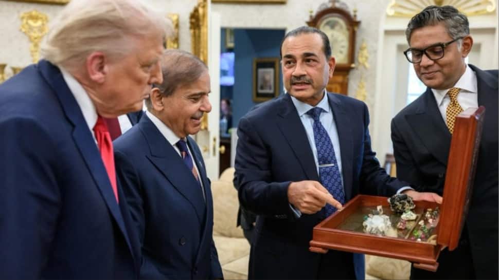 ‘What A Joke’: Pakistan Army Chief Mocked For Showing Rare Earth Minerals To Trump