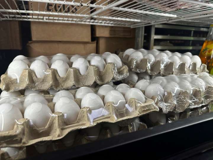 6 million eggs from Black Sheep Egg company recalled over Salmonella contamination