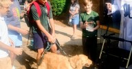 Pets receive blessing at Ludington Area Catholic School