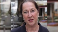 German Mayor Stabbed Outside Her Home, Critically Injured