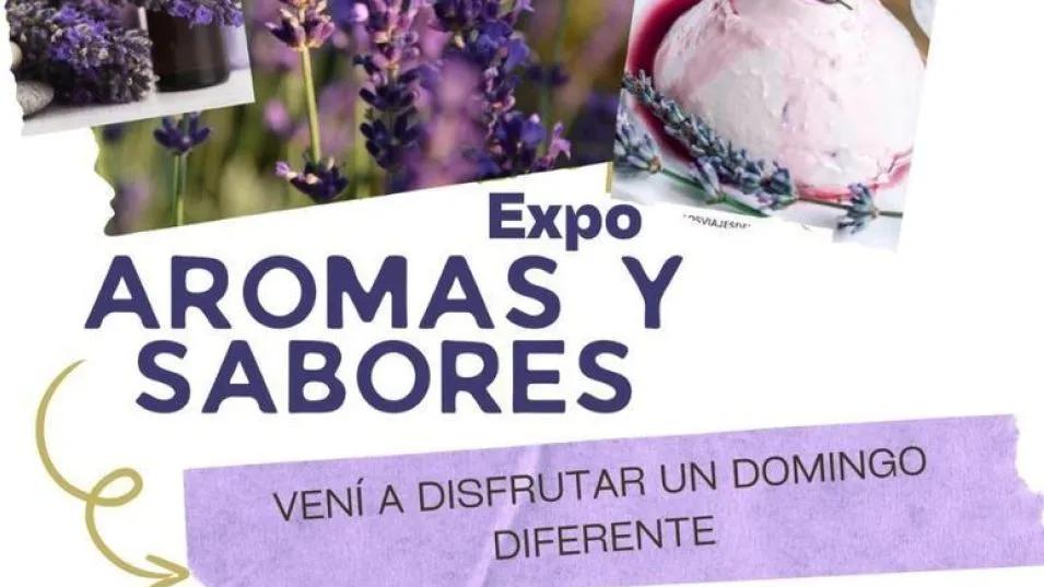 CLUB DE LA LAVANDA . Llega la Expo que busca posicionar a Azul como la Ciudad de los Aromas