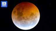 Does a full moon affect your menstrual cycle? Do your periods align with your housemates?