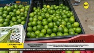 ¿Qué pasa con el limón? Precio del cítrico cae hasta 40 % en Piura y ya se siente en mercados locales