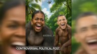 Hardin County GOP Leader Shares Video Depicting Obamas As Apes