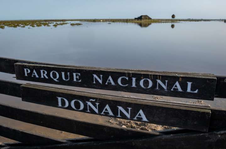 El Consejo de Participación de Doñana informa desfavorablemente sobre el deslinde de la marisma