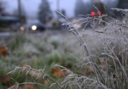 First frost of the year settles in Western Washington