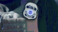 Cartels issuing bounties up to $50,000 for hits on ICE, CBP agents: DHS