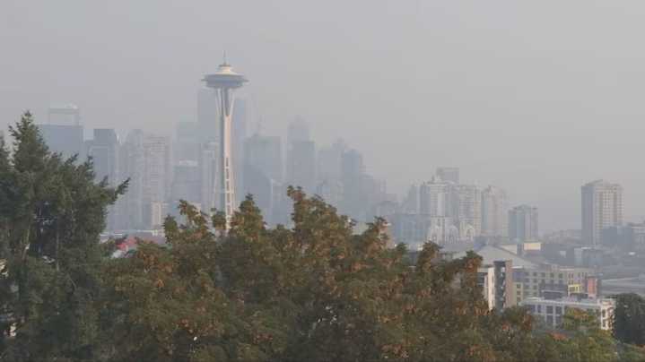 Wildfire smoke exposure may affect fertility, study finds
