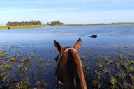 “Nos abandonaron”. La odisea de una productora que va en lancha a su campo