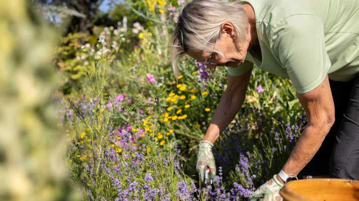 The Popular Pruning Practice You May Want To Reconsider (& What To Do Instead)