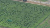 Dixon's giant corn maze twice set records as the world's largest