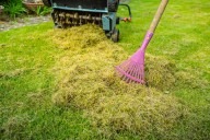 4 Reasons You Should Dethatch Your Lawn in October