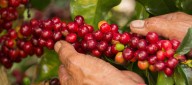 La relación comercial Colombia - EE.UU.: la gran víctima de los choques entre Petro y Trump