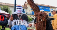 Cusco será la capital mundial del ‘Festicamélidos 2025’