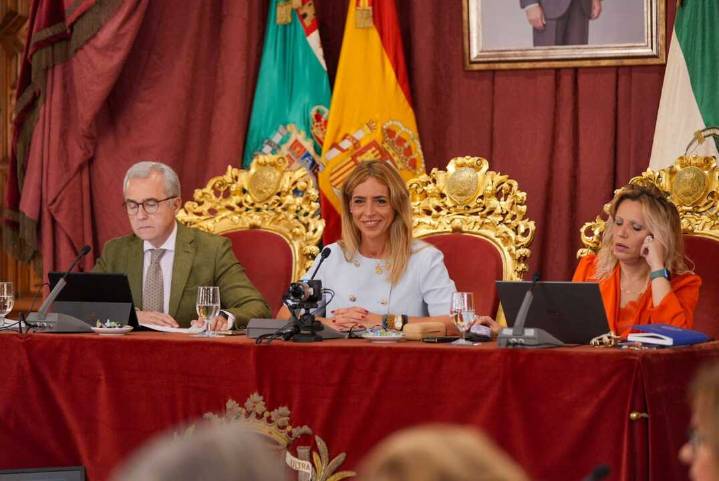 Almudena Martínez, al PSOE: "Vienen a Diputación a reventar los plenos, pero no lo voy a permitir"