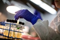 Assault on accessibility initiatives hits early career scientists hard