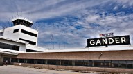 'Date local,' says Gander airport CEO after staff allege multiple catfishing scams