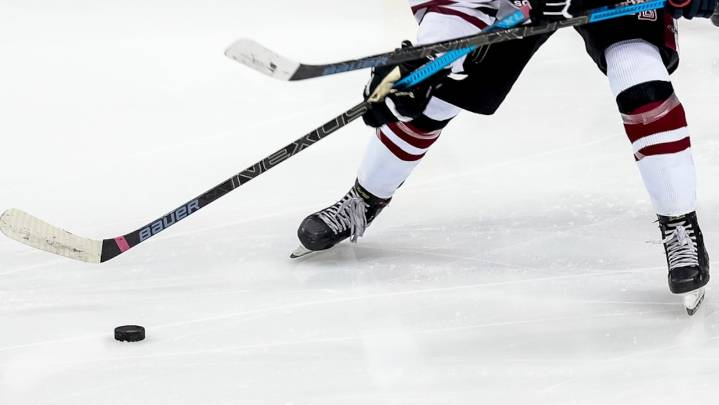 Luke Brown, Northern Berks hockey routs Twin Valley in CPIHL season