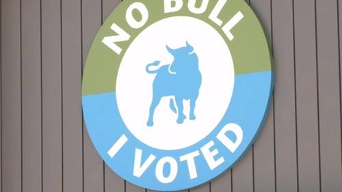 Sparse but serious turnout as early voting ends in Durham: 'It's important'