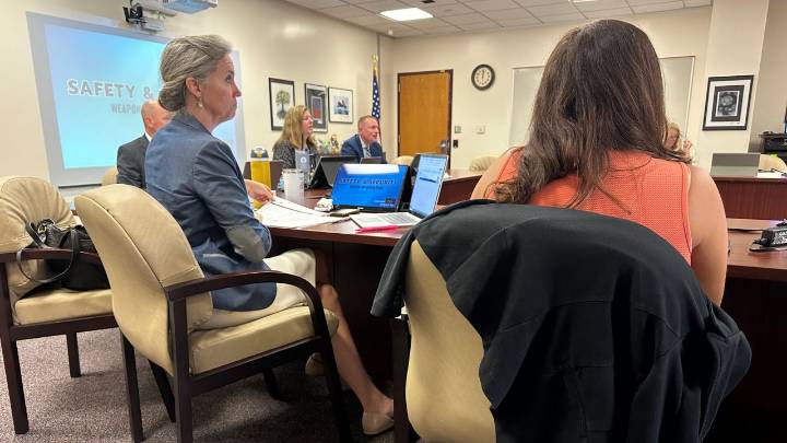 Pinellas County Schools considers weapon detections system