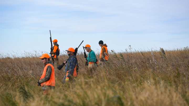 Hunters urged to review biosecurity practices during fall season