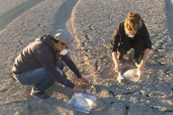 Study links wind-blown dust from receding Salton Sea to reduced lung function in area children
