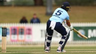 Cricket 2025: One