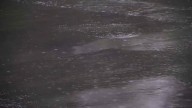 Emiten avisos de inundación en los condados de Alameda, Contra Costa, Santa Clara y Santa Cruz