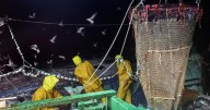 Between the devil and the deep sea: Inside the battle over trawling for a 200