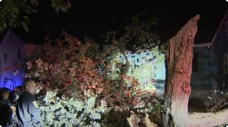 Large tree damages home in Malden