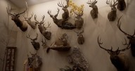 Artistry and attention to detail bring hunting memories to life