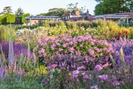 How Harper Beckham created the perfect gardener's birthday present for her father's 50th 