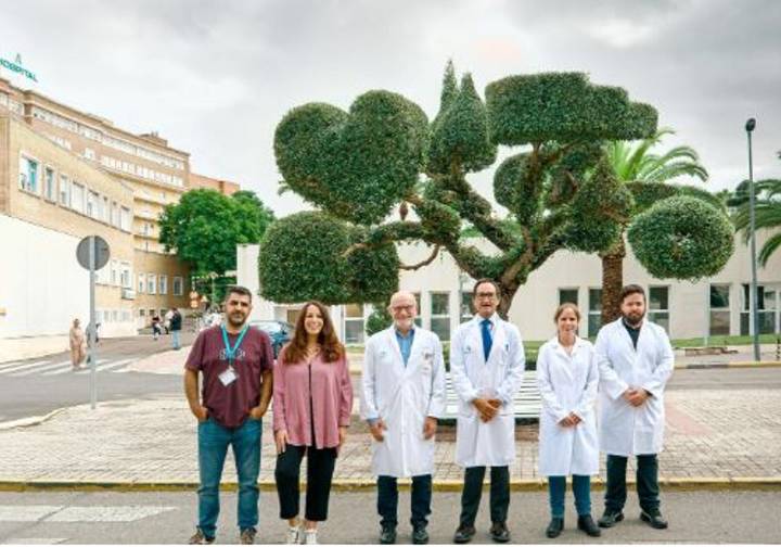 Investigadores españoles relacionan el hígado graso con el deterioro cognitivo