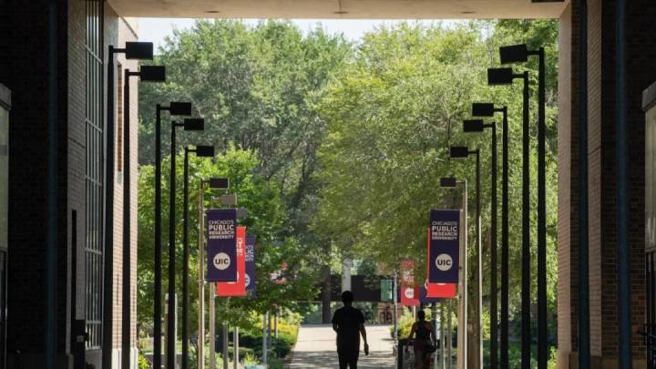 University of Illinois Chicago drops race, gender as factors in financial aid and faculty hiring
