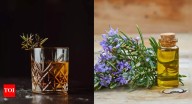 Rosemary water vs. Rosemary oil: Comparing benefits, usage, and how to select the best one for hair and skin