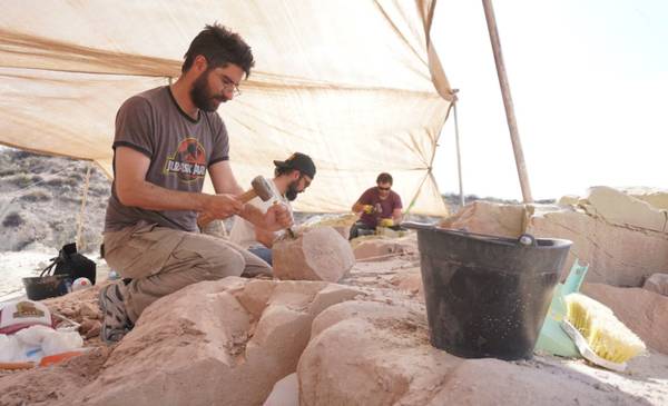 Paleontólogos del CONICET buscarán una nueva especie de dinosaurio y lo transmitirán en vivo