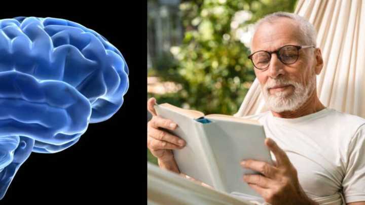 Esta es la edad en que el cerebro alcanza su máximo rendimiento, según la ciencia: 'Luego inicial el declive'