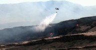 Northeast Oregon project works to restore fire resilience and biodiversity
