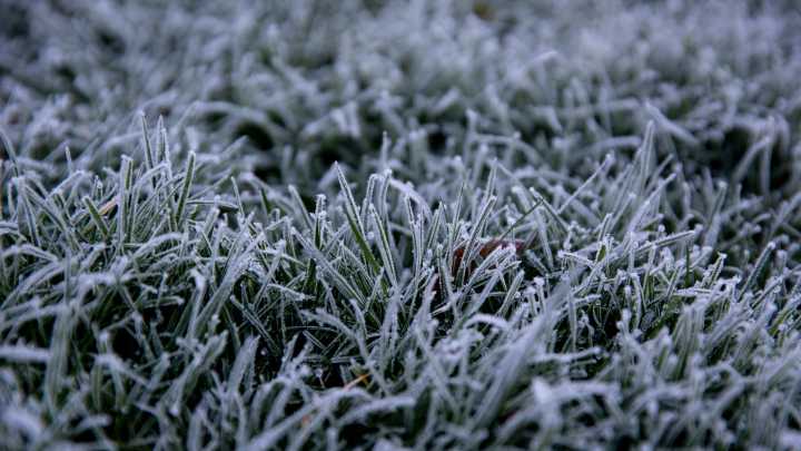 Much of Oregon under frost advisory with temps in 30s