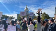 NH crowds denounce Trump at No Kings protests: 'It’s sickening and it’s sad'