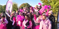 Walk at Howard Park makes strides against breast cancer