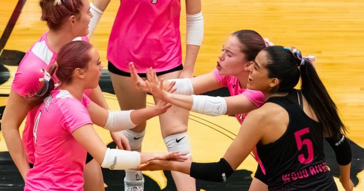 Wolverines win Great Basin district volleyball tournament