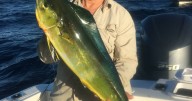Anglers set for summer boost as fish aggregating devices return