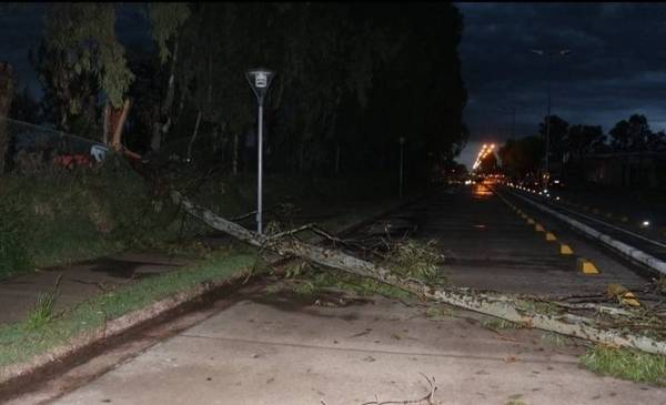 Un fuerte temporal causó destrozos en Huanguelén, Guaminí y General La Madrid