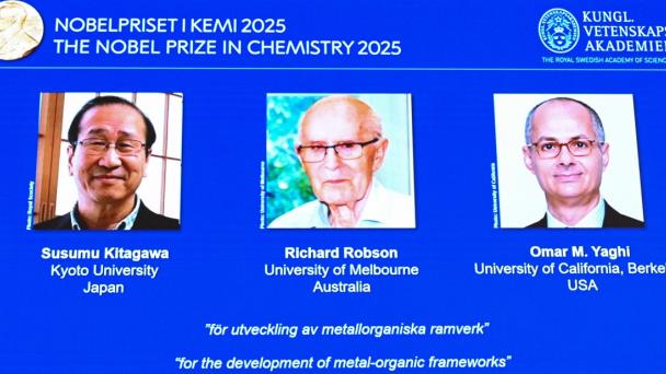 El Nobel de Química premia investigaciones sobre nuevas estructuras moleculares con enorme potencial